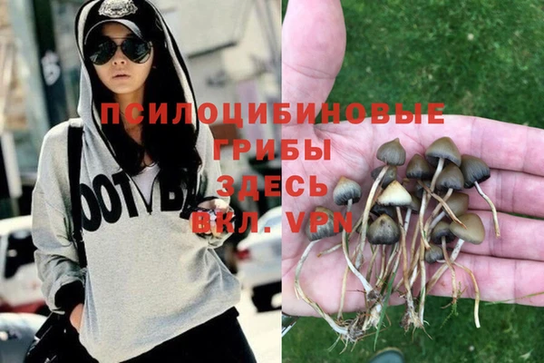 дурь Алзамай