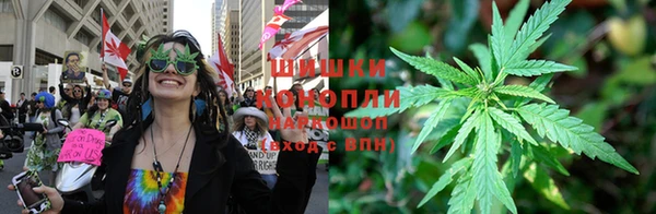 дурь Алзамай