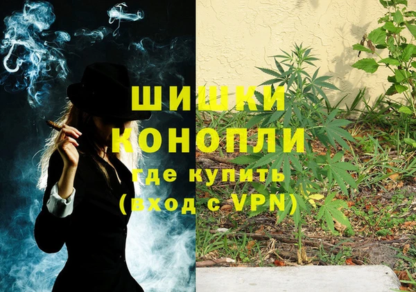 дурь Алзамай