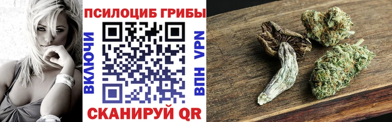Псилоцибиновые грибы мухоморы  omg зеркало  Чапаевск 